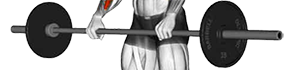 pronation